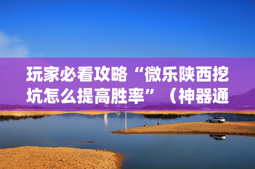 玩家必看攻略“微乐陕西挖坑怎么提高胜率”（神器通用版)