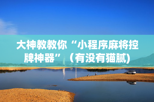 大神教教你“小程序麻将控牌神器”（有没有猫腻)