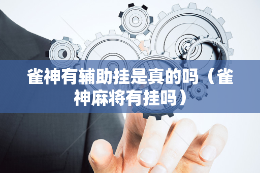 雀神有辅助挂是真的吗（雀神麻将有挂吗）