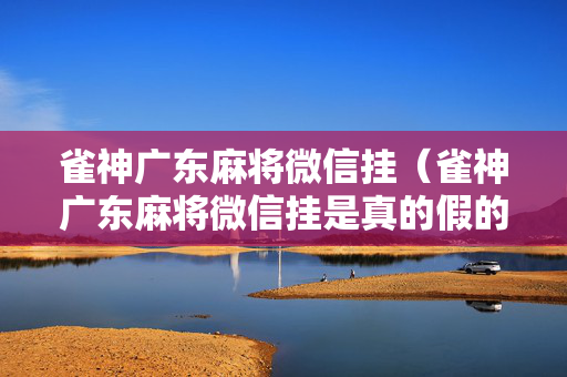 雀神广东麻将微信挂（雀神广东麻将微信挂是真的假的）