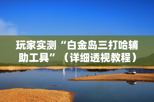 玩家实测“白金岛三打哈辅助工具”（详细透视教程）-哔哩哔哩