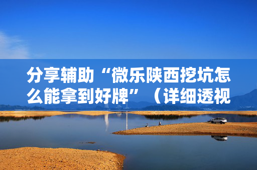 分享辅助“微乐陕西挖坑怎么能拿到好牌”（详细透视教程）-哔哩哔哩