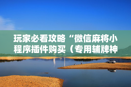 玩家必看攻略“微信麻将小程序插件购买（专用辅牌神器免安装）