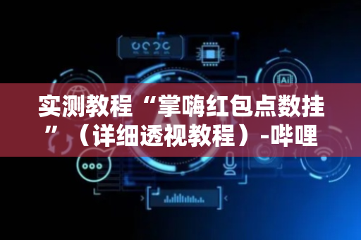 实测教程“掌嗨红包点数挂”（详细透视教程）-哔哩哔哩