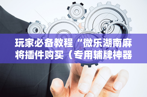 玩家必备教程“微乐湖南麻将插件购买（专用辅牌神器免安装）