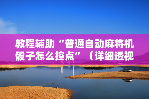教程辅助“普通自动麻将机骰子怎么控点”（详细透视教程）-哔哩哔哩