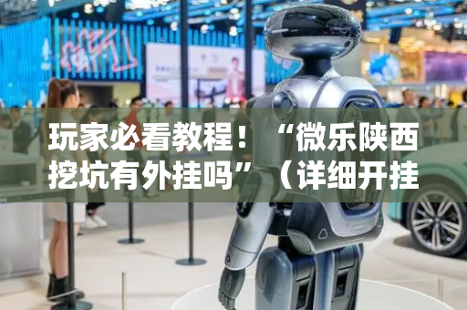 玩家必看教程！“微乐陕西挖坑有外挂吗”（详细开挂教程）-哔哩哔哩