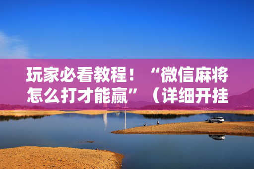 玩家必看教程！“微信麻将怎么打才能赢”（详细开挂教程）-哔哩哔哩