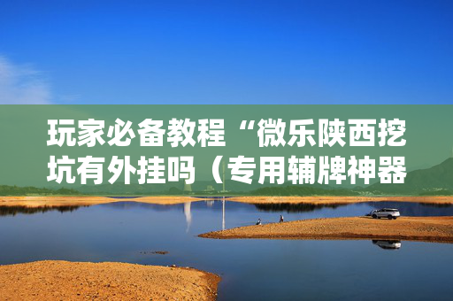 玩家必备教程“微乐陕西挖坑有外挂吗（专用辅牌神器免安装）