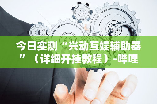 今日实测“兴动互娱辅助器”（详细开挂教程）-哔哩哔哩