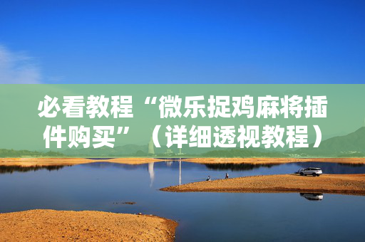 必看教程“微乐捉鸡麻将插件购买”（详细透视教程）-哔哩哔哩