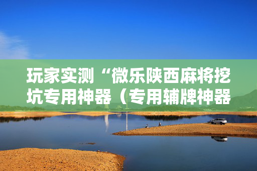 玩家实测“微乐陕西麻将挖坑专用神器（专用辅牌神器免安装）