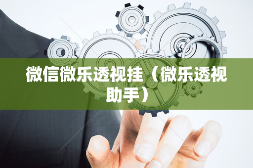 微信微乐透视挂（微乐透视助手）