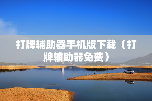 打牌辅助器手机版下载（打牌辅助器免费）