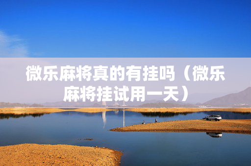 微乐麻将真的有挂吗（微乐麻将挂试用一天）
