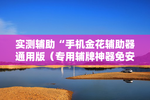 实测辅助“手机金花辅助器通用版（专用辅牌神器免安装）