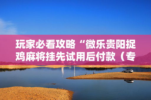 玩家必看攻略“微乐贵阳捉鸡麻将挂先试用后付款（专用辅牌神器免安装）