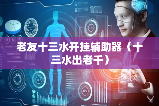 老友十三水开挂辅助器（十三水出老千）