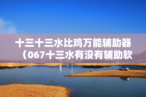 十三十三水比鸡万能辅助器（067十三水有没有辅助软件）