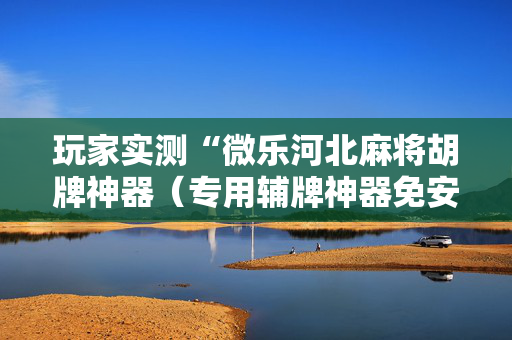 玩家实测“微乐河北麻将胡牌神器（专用辅牌神器免安装）