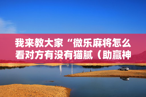 我来教大家“微乐麻将怎么看对方有没有猫腻（助赢神器通用版）
