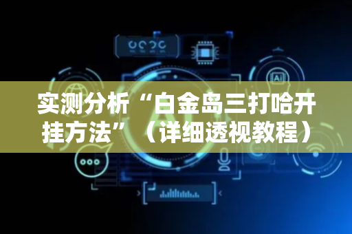 实测分析“白金岛三打哈开挂方法”（详细透视教程）-哔哩哔哩