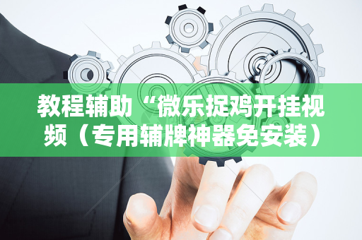 教程辅助“微乐捉鸡开挂视频（专用辅牌神器免安装）