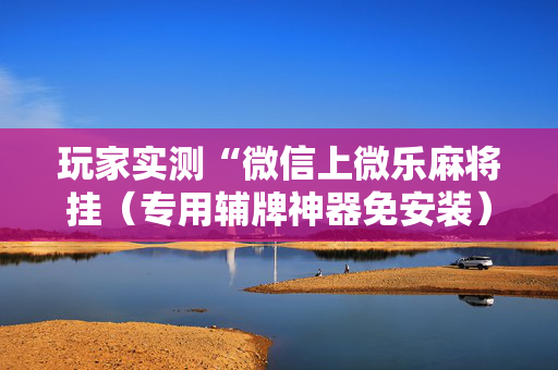 玩家实测“微信上微乐麻将挂（专用辅牌神器免安装）