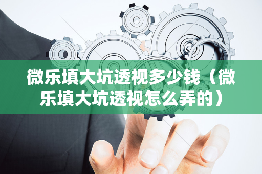 微乐填大坑透视多少钱（微乐填大坑透视怎么弄的）