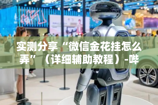 实测分享“微信金花挂怎么弄”（详细辅助教程）-哔哩哔哩