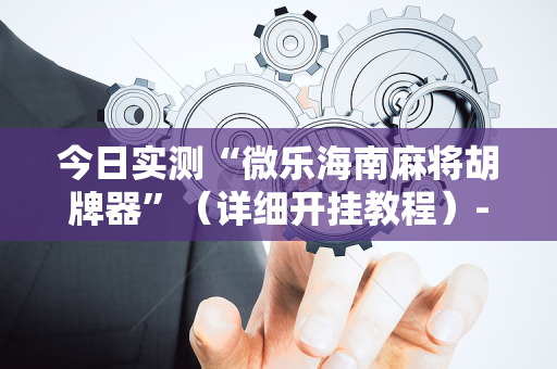 今日实测“微乐海南麻将胡牌器”（详细开挂教程）-哔哩哔哩