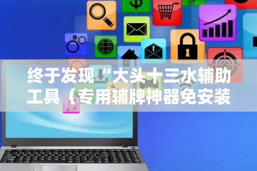 终于发现“大头十三水辅助工具（专用辅牌神器免安装）