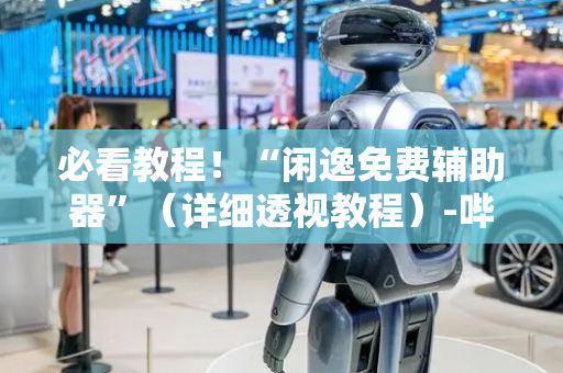 必看教程！“闲逸免费辅助器”（详细透视教程）-哔哩哔哩