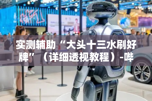 实测辅助“大头十三水刷好牌”（详细透视教程）-哔哩哔哩