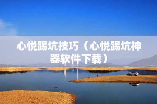 心悦踢坑技巧（心悦踢坑神器软件下载）