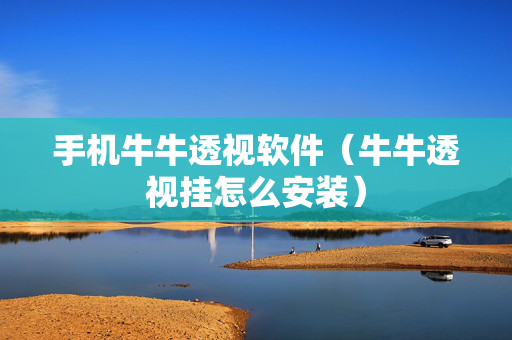 手机牛牛透视软件（牛牛透视挂怎么安装）