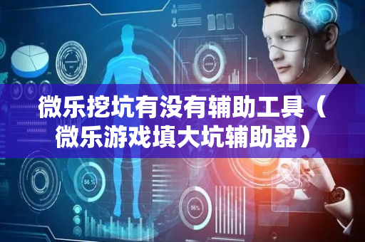 微乐挖坑有没有辅助工具（微乐游戏填大坑辅助器）