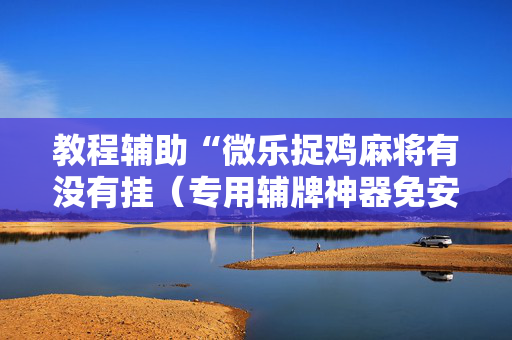 教程辅助“微乐捉鸡麻将有没有挂（专用辅牌神器免安装）