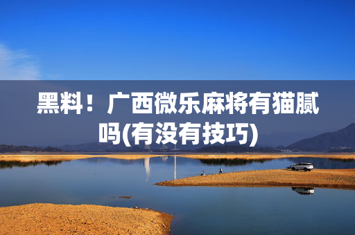 黑料！广西微乐麻将有猫腻吗(有没有技巧)