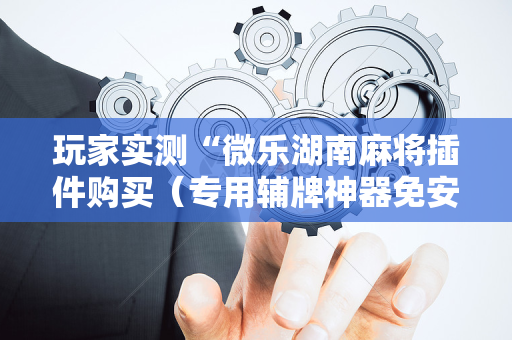 玩家实测“微乐湖南麻将插件购买（专用辅牌神器免安装）