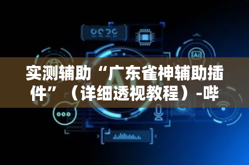 实测辅助“广东雀神辅助插件”（详细透视教程）-哔哩哔哩