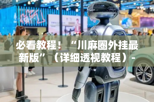 必看教程！“川麻圈外挂最新版”（详细透视教程）-哔哩哔哩