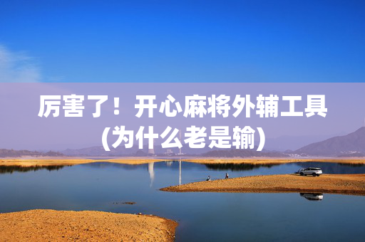 厉害了！开心麻将外辅工具(为什么老是输)