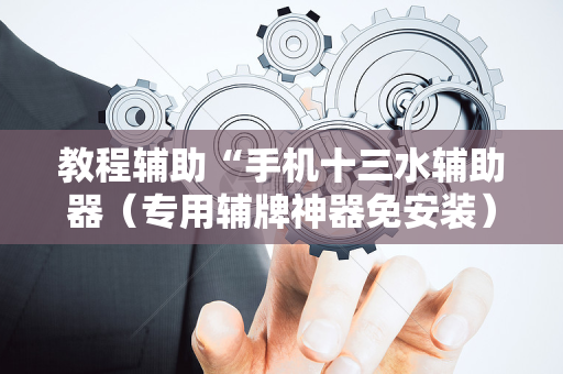教程辅助“手机十三水辅助器（专用辅牌神器免安装）