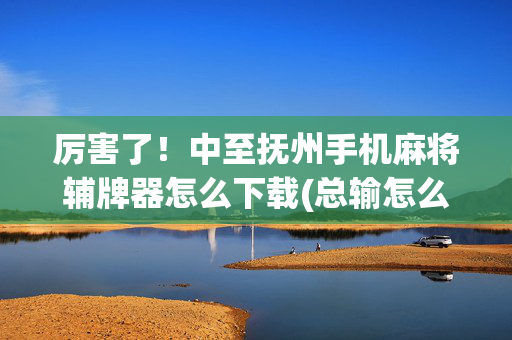 厉害了！中至抚州手机麻将辅牌器怎么下载(总输怎么回事)