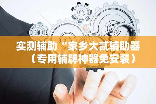 实测辅助“家乡大贰辅助器（专用辅牌神器免安装）