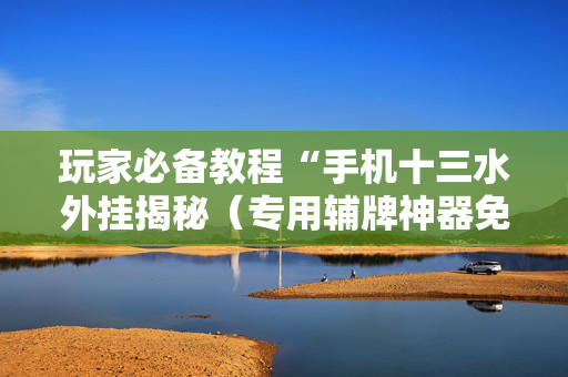 玩家必备教程“手机十三水外挂揭秘（专用辅牌神器免安装）