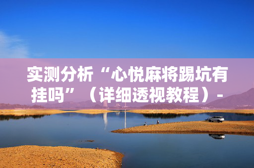 实测分析“心悦麻将踢坑有挂吗”（详细透视教程）-哔哩哔哩