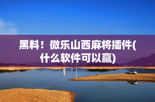 黑料！微乐山西麻将插件(什么软件可以赢)