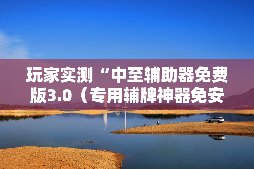 玩家实测“中至辅助器免费版3.0（专用辅牌神器免安装）